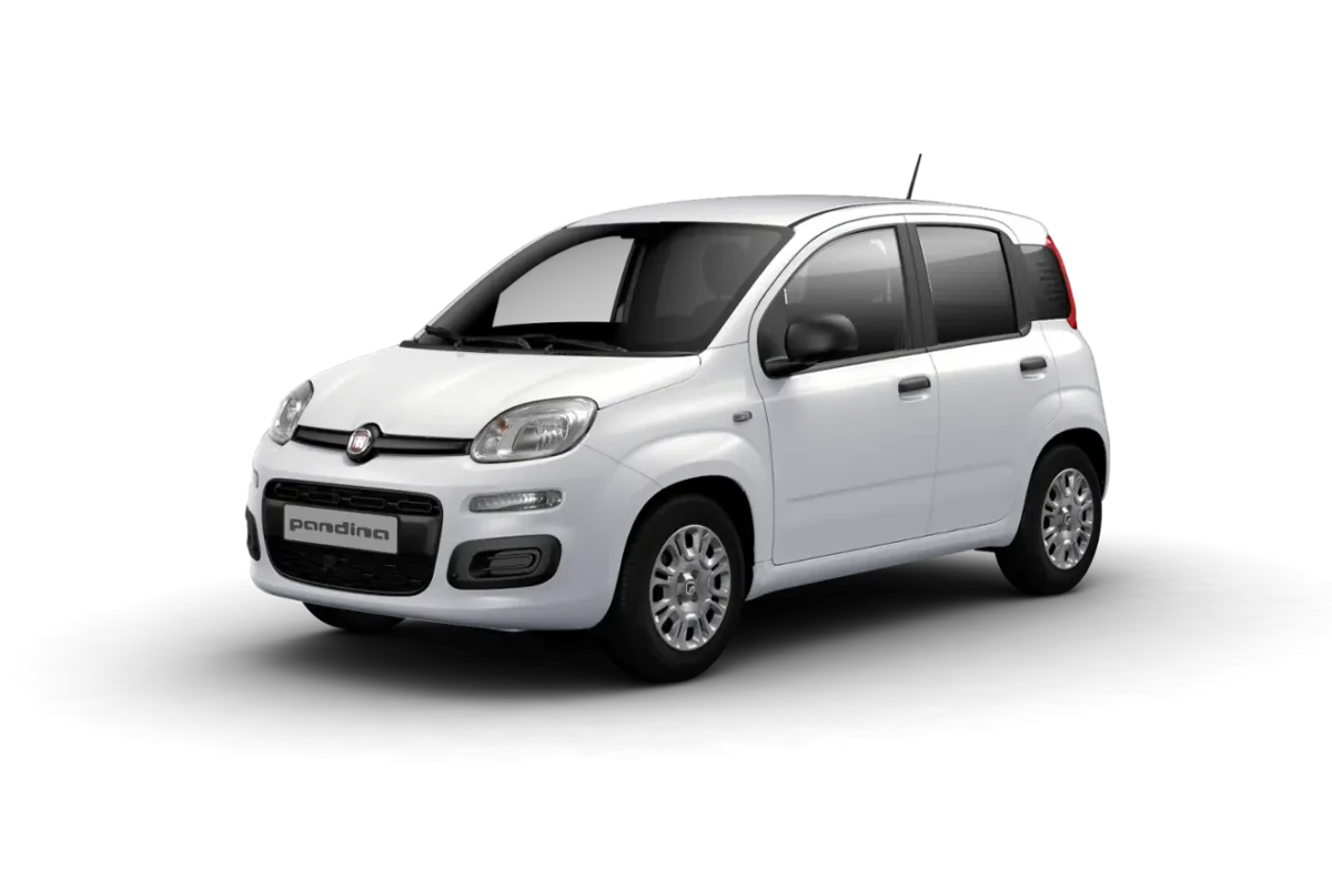 Fiat Professional Pandina Van ad Alba e Bra